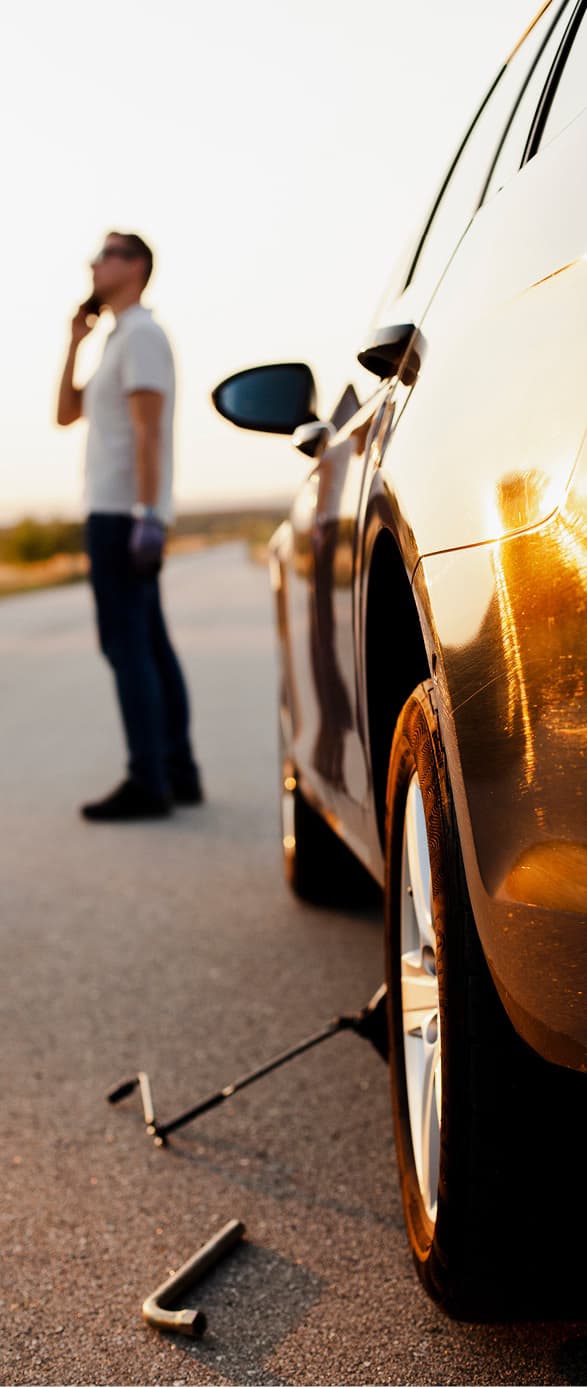 Auto Export Banner Preis